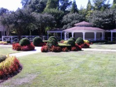 Brumby House Garden
